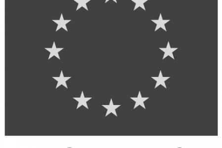 Mid-term Evaluation of the Trade and Domestic Market Enhancement Programme (TDMEP) (EuropeAid FWC Lot 10 2016/381709/1)