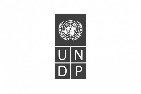 Programme Review and Reformulation Mission